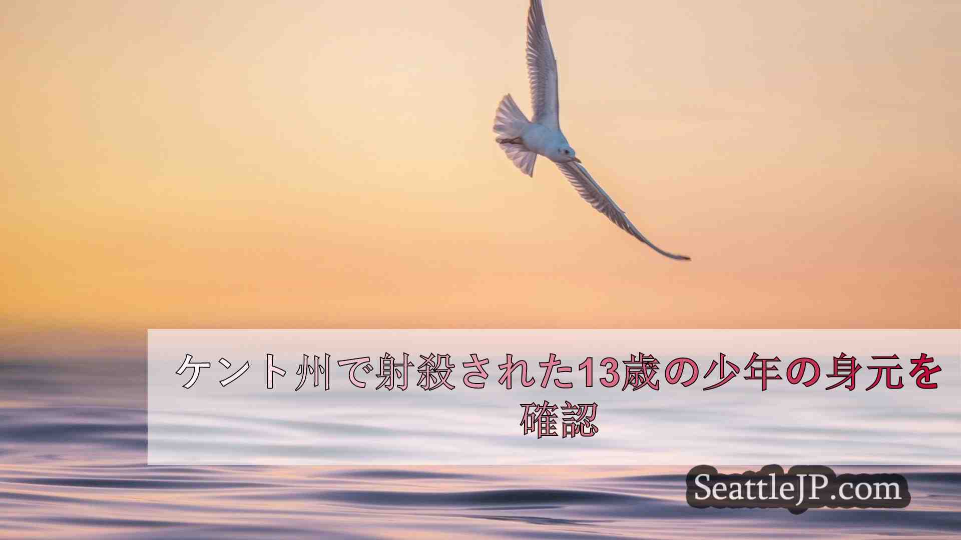 ケント州で射殺された13歳の少年の身元を確認