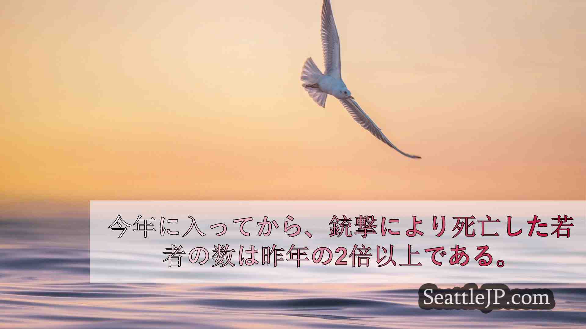 シアトルニュース SeattleJP
