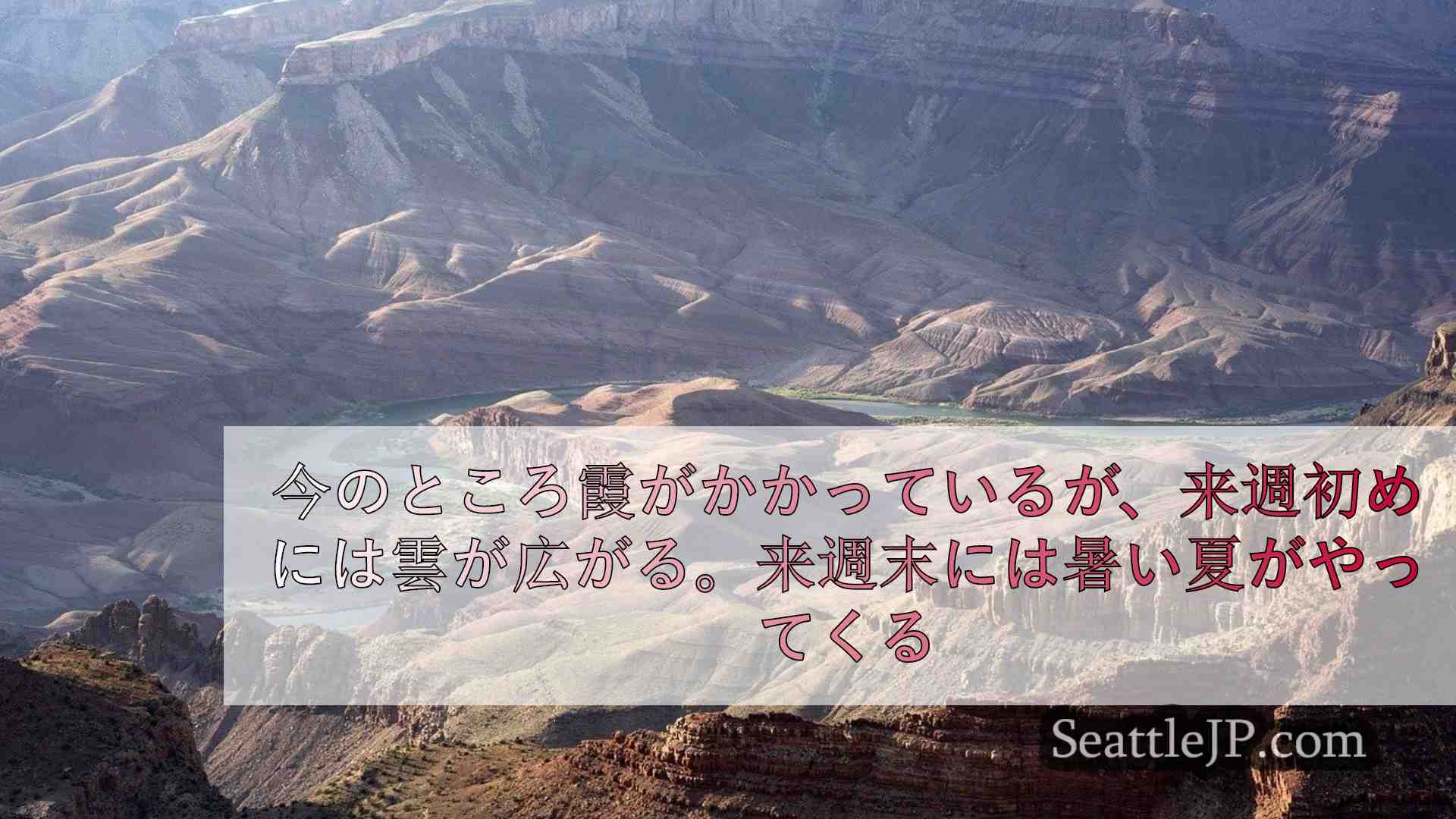 シアトルニュース SeattleJP