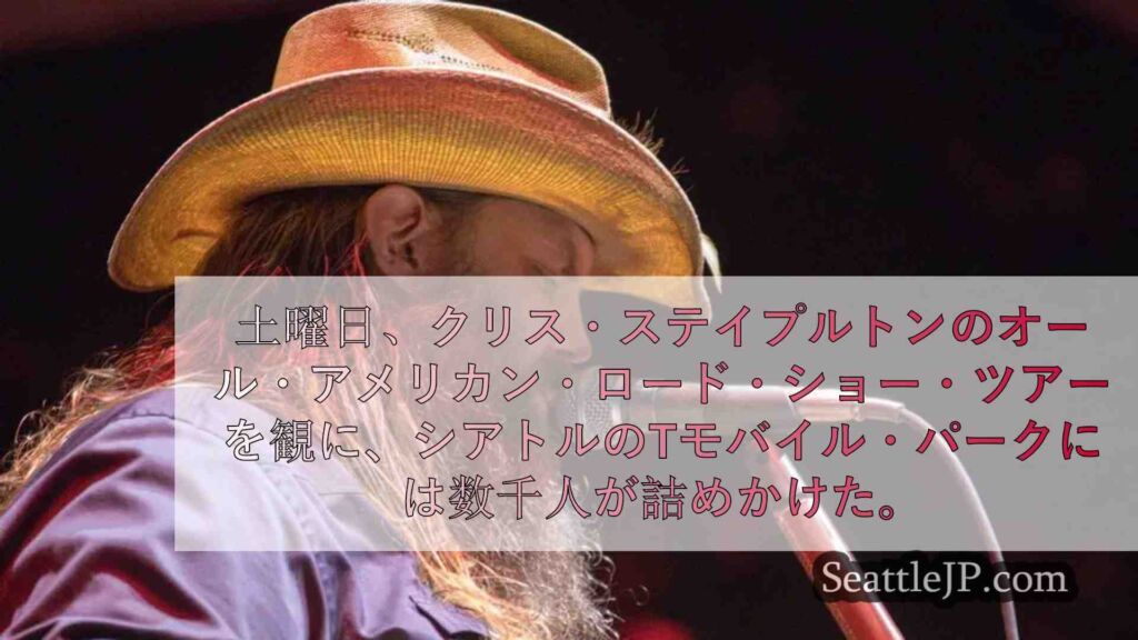 レビュー