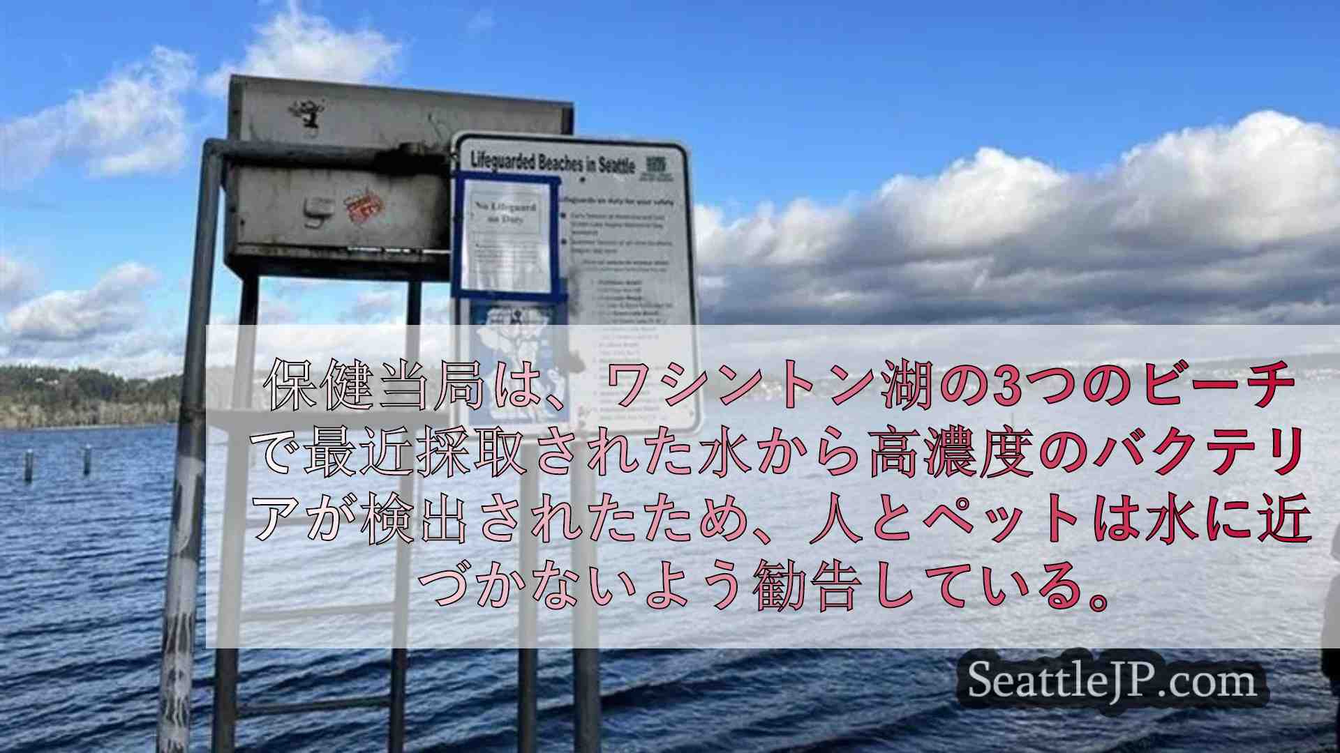 高濃度のバクテリアによりワシントン湖の3つのビーチが閉鎖に