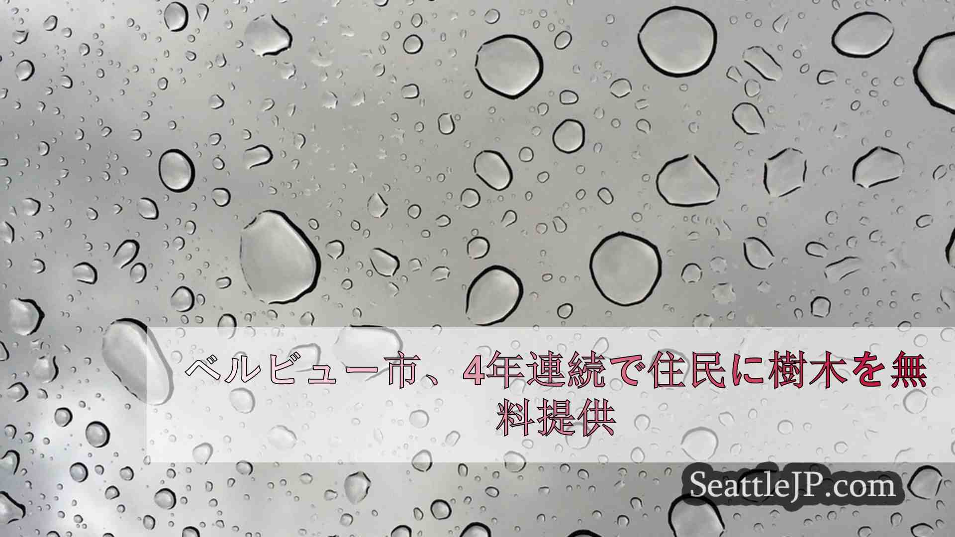 シアトルニュース SeattleJP