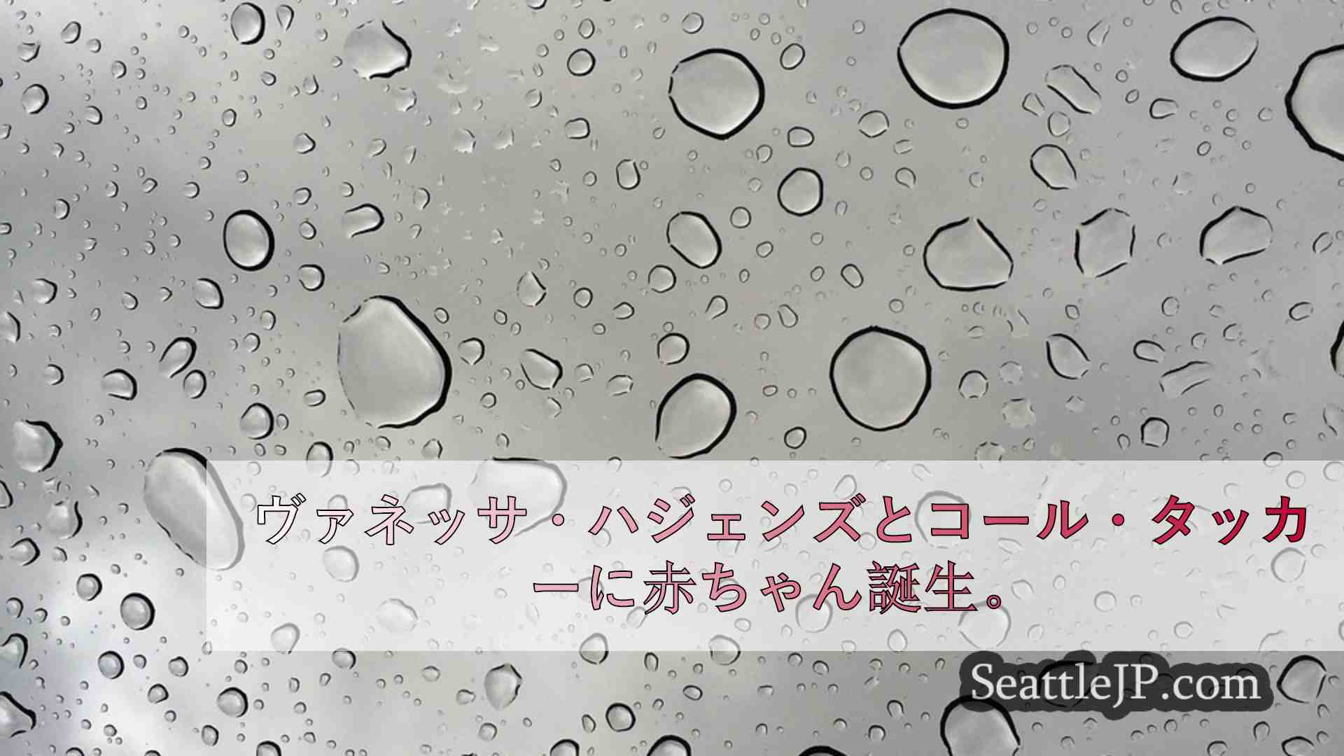 シアトルニュース SeattleJP