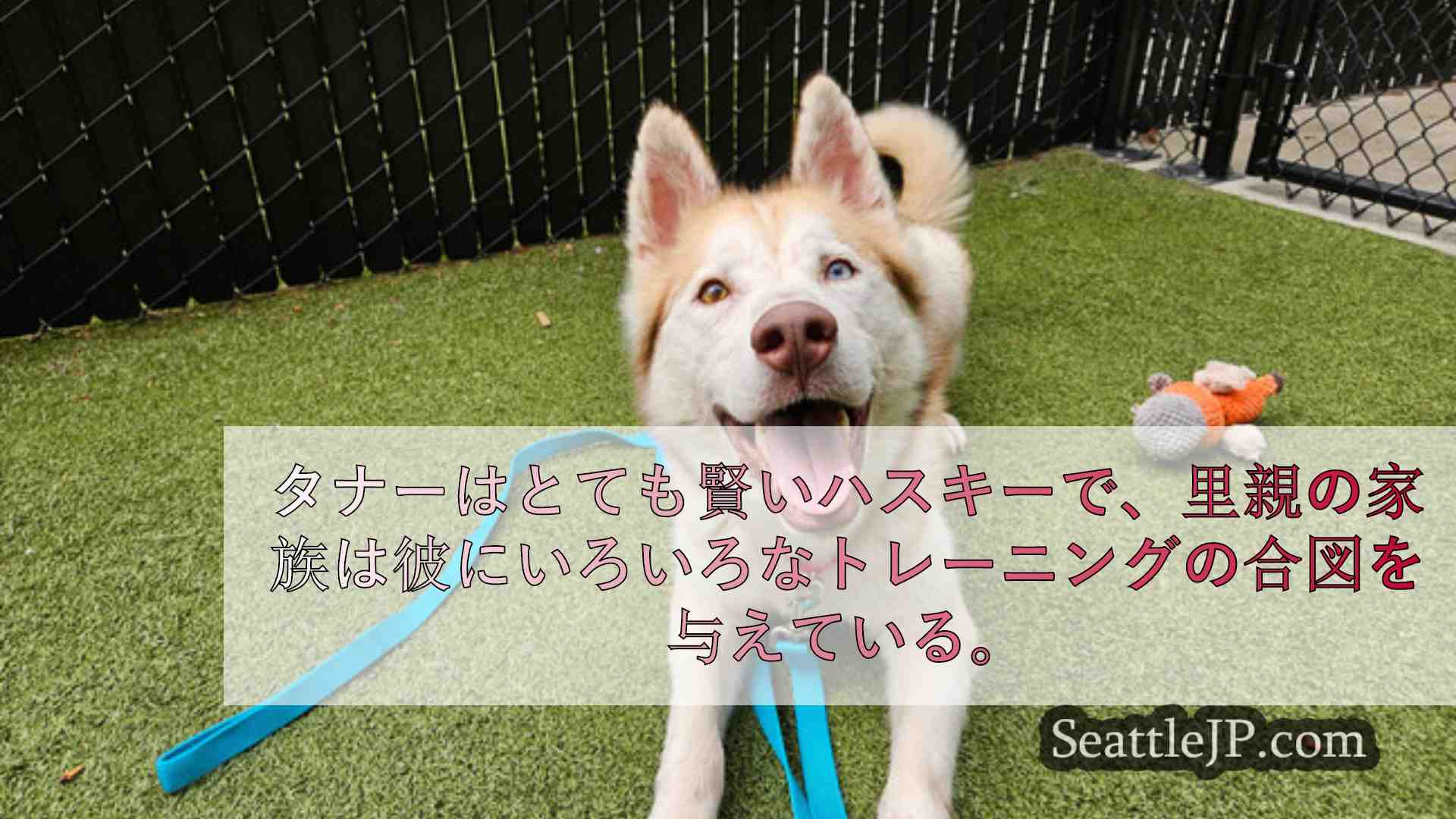 シアトルニュース SeattleJP