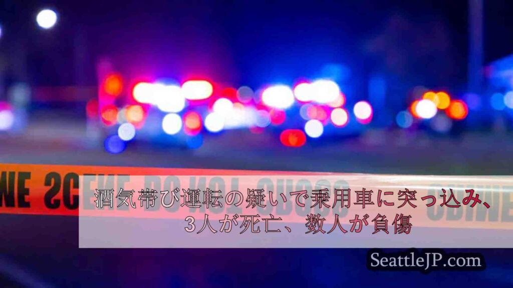 飲酒運転の疑いで公園に突っ込み、3人が死亡、数人が負傷