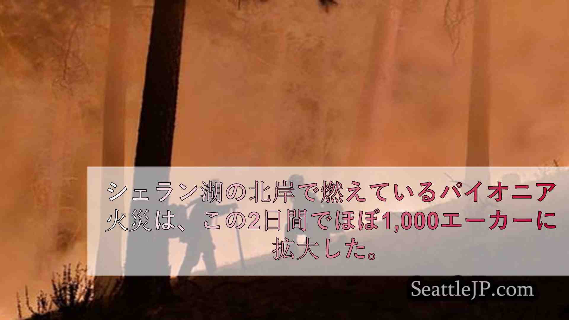 シアトルニュース SeattleJP
