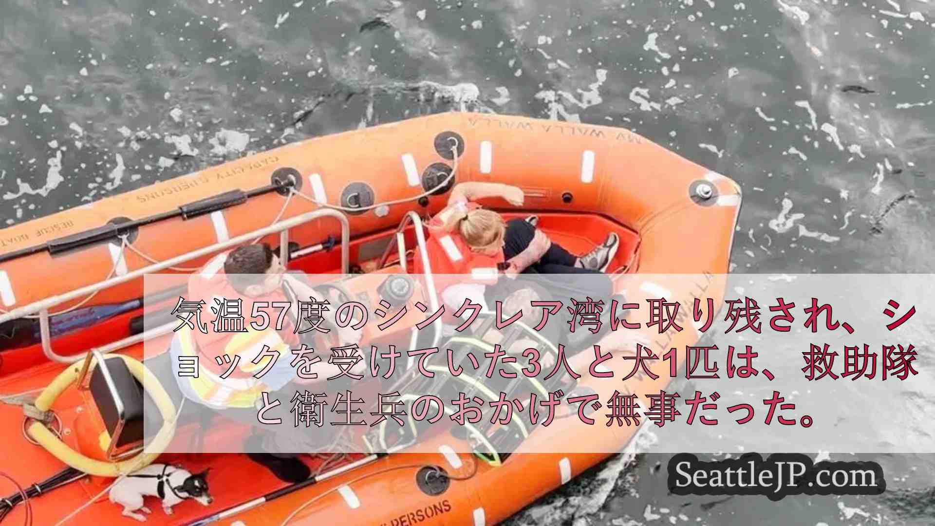 フェリーの乗客がシンクレア湾で3人と犬の劇的な救助を目撃