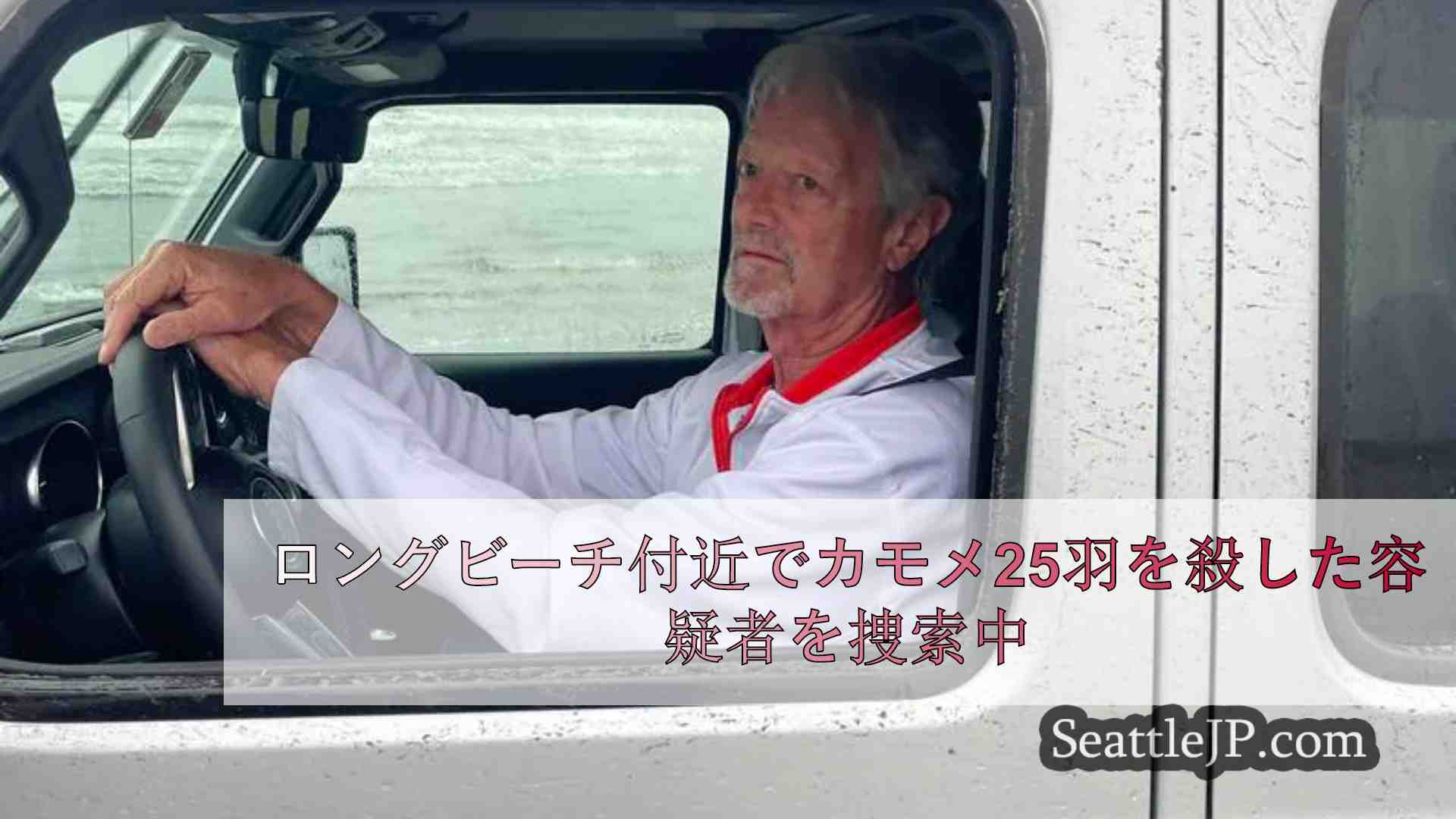 ロングビーチ付近でカモメ25羽を殺した容疑者を捜索中