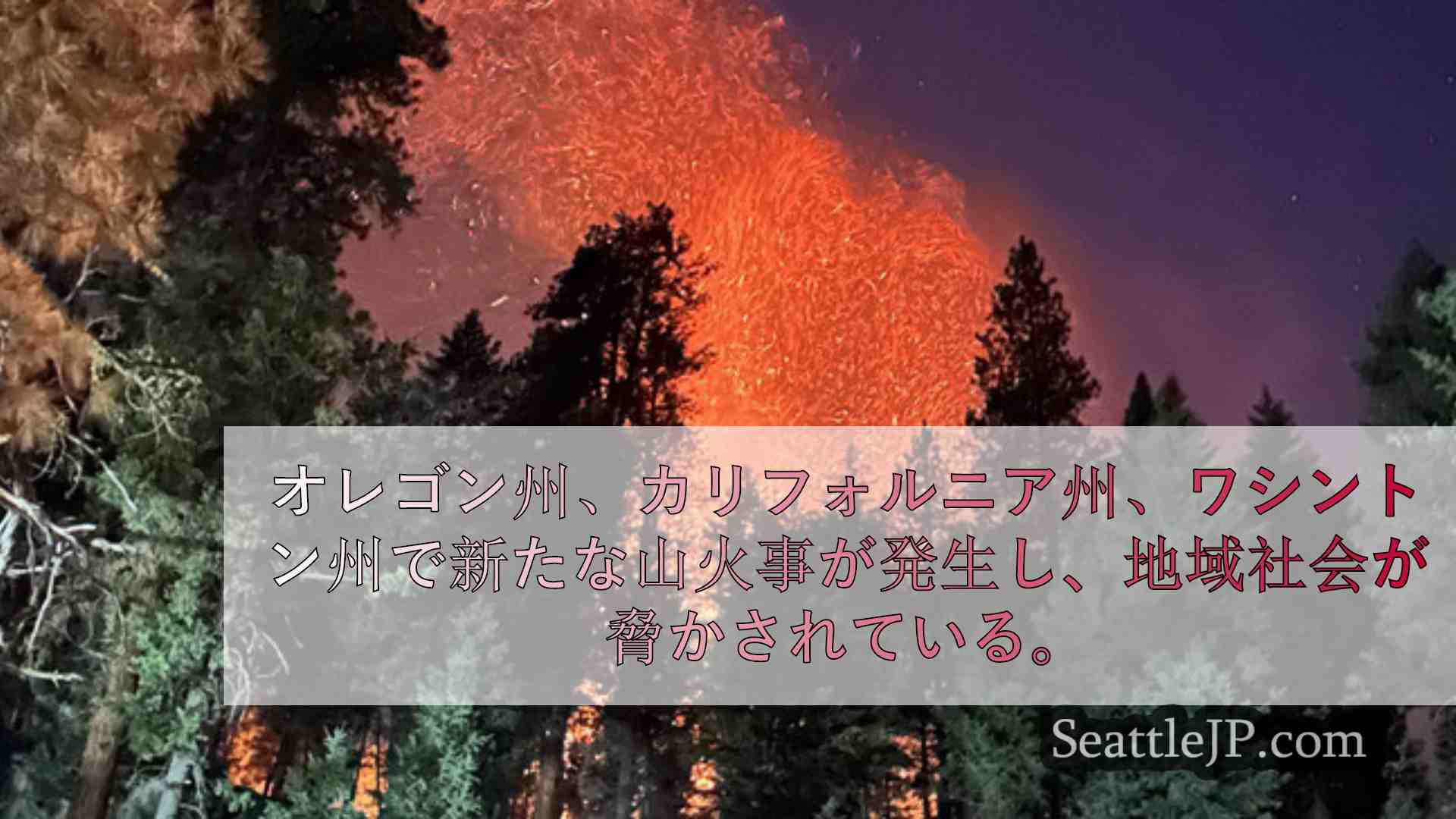シアトルニュース SeattleJP