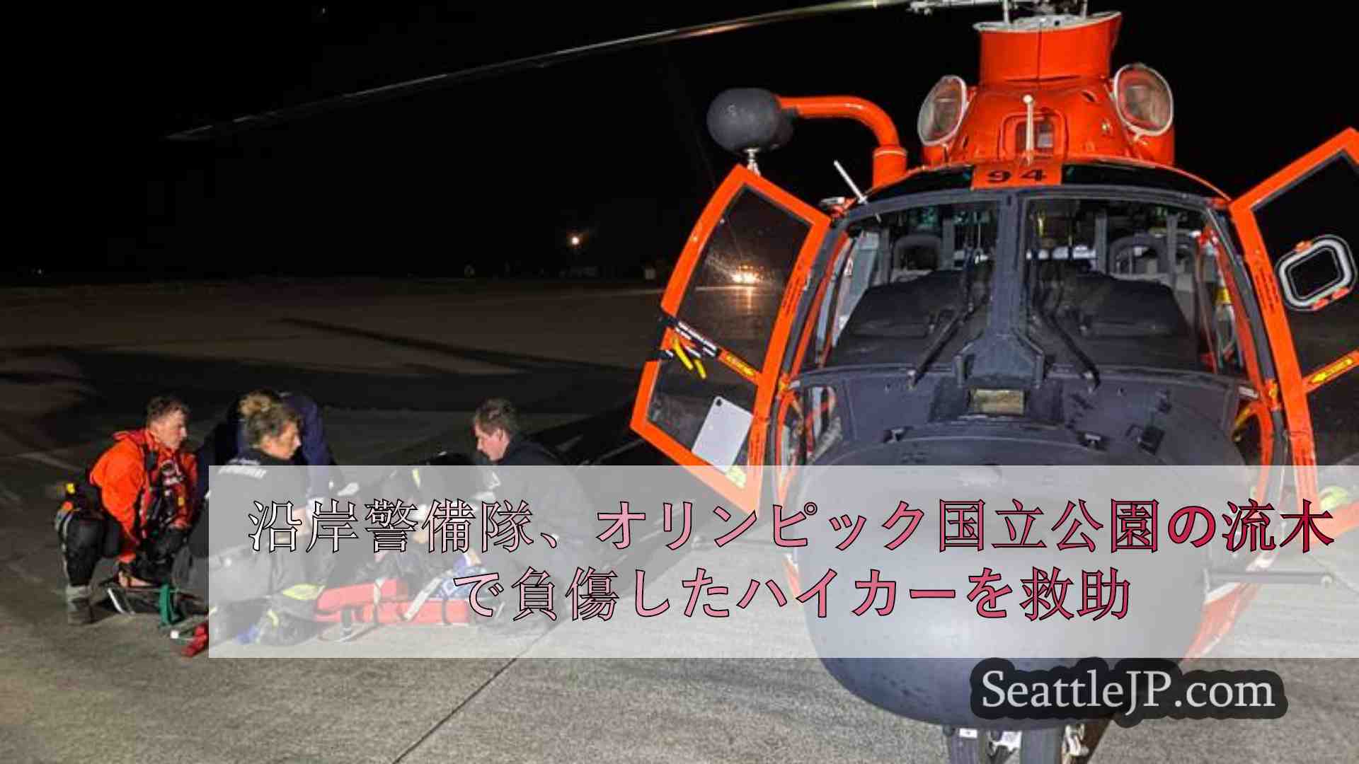 沿岸警備隊、オリンピック国立公園の流木で負傷したハイカーを救助
