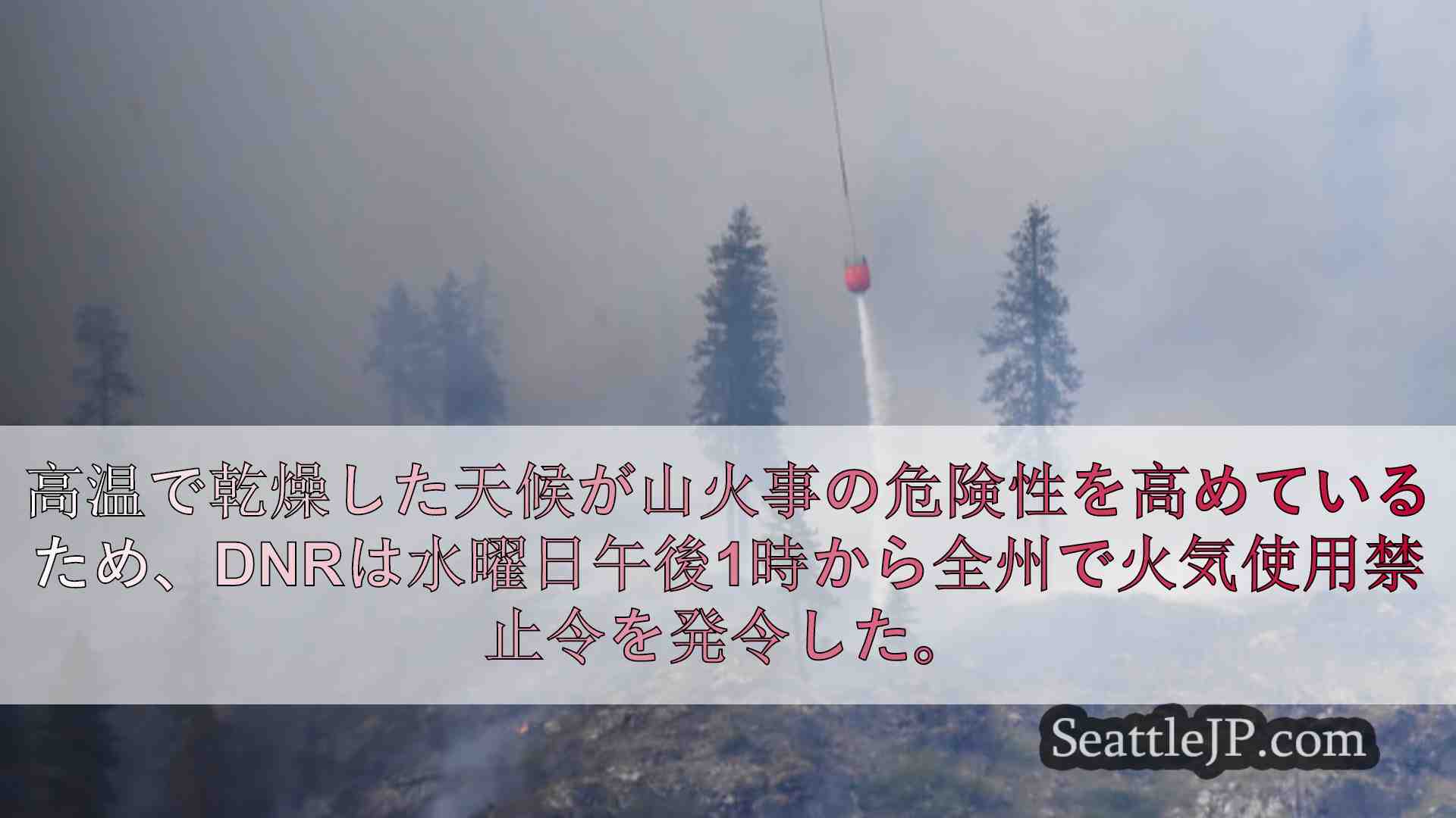 シアトルニュース SeattleJP