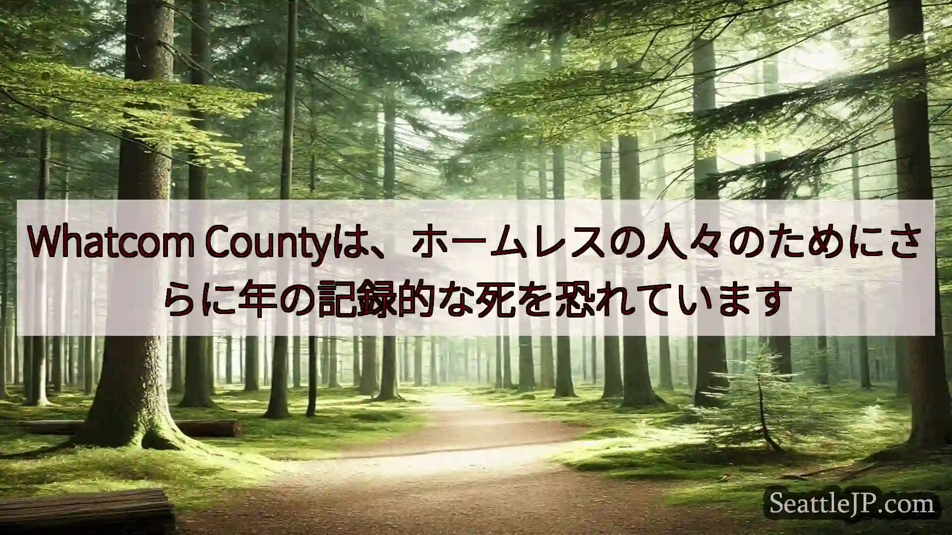 シアトルニュース Whatcom