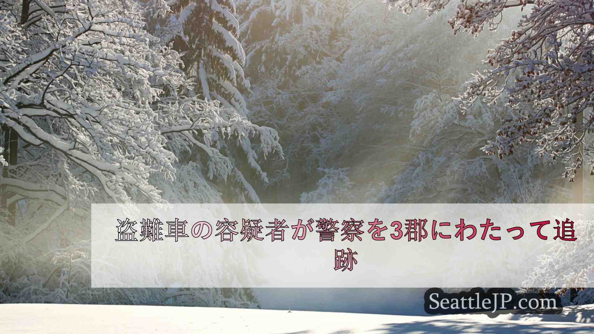 シアトルニュース SeattleJP