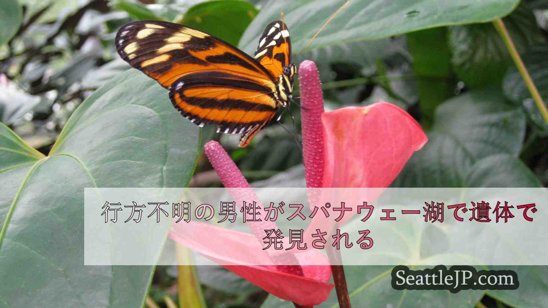 行方不明の男性がスパナウェー湖で遺体で発見される