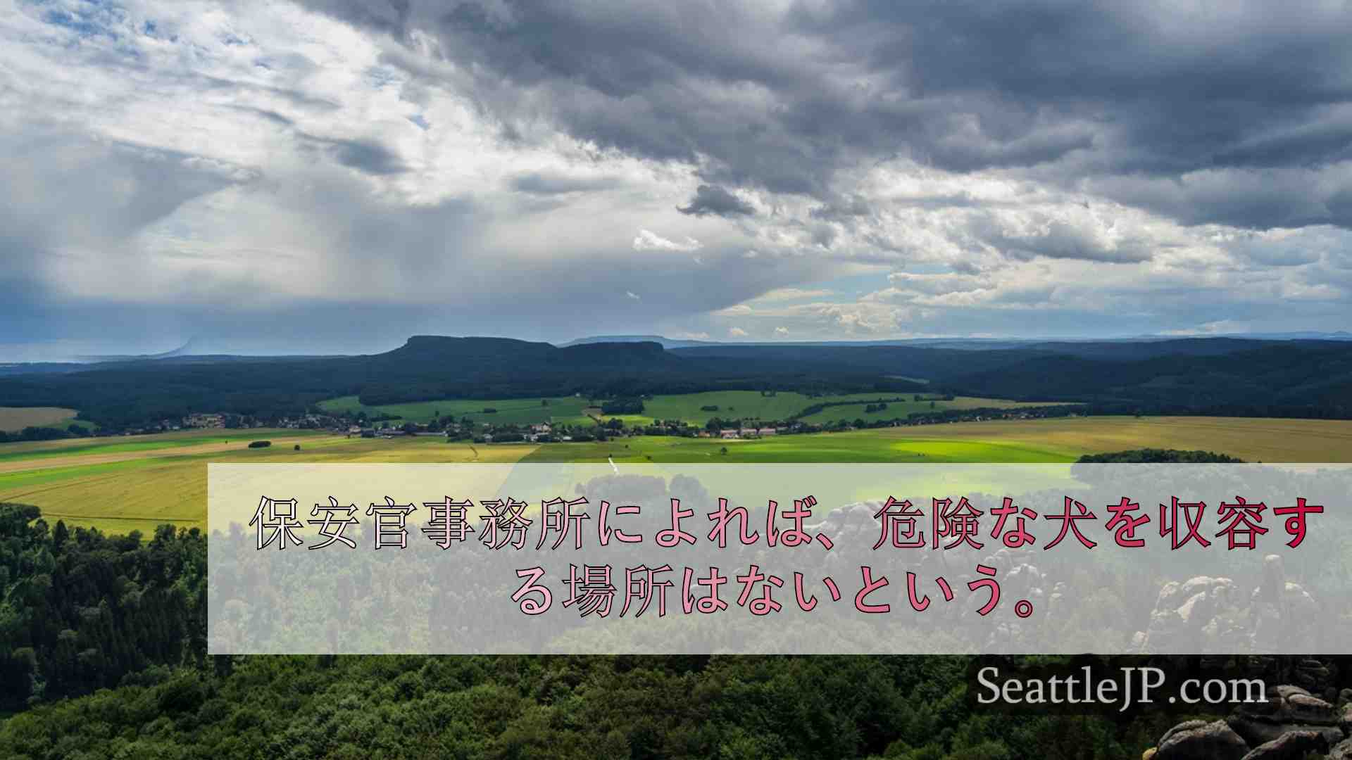 シアトルニュース SeattleJP