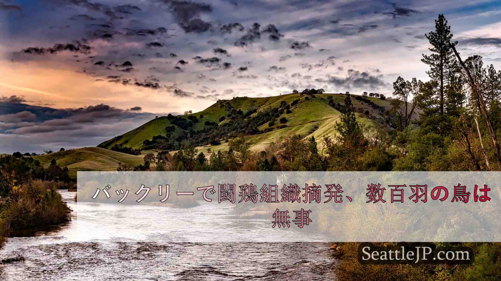 シアトルニュース SeattleJP