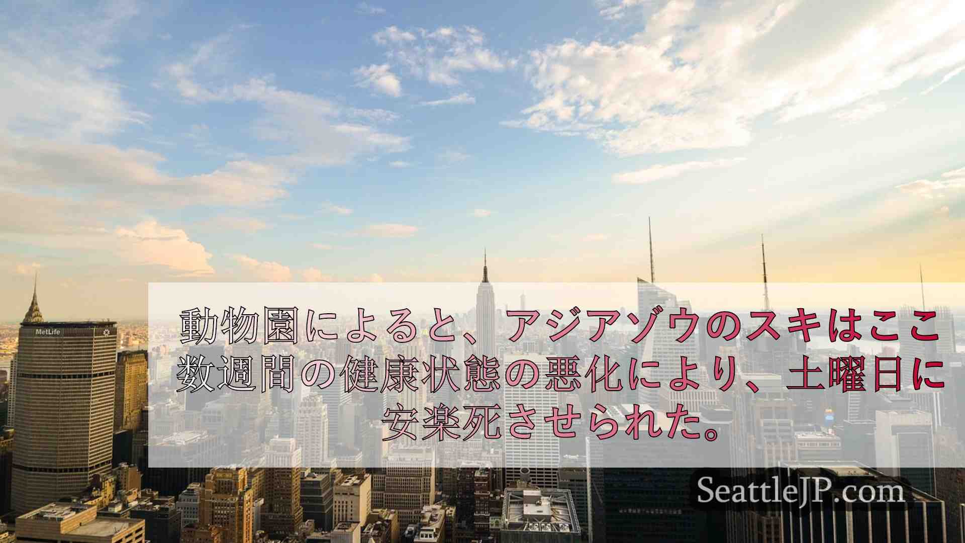 シアトルニュース SeattleJP
