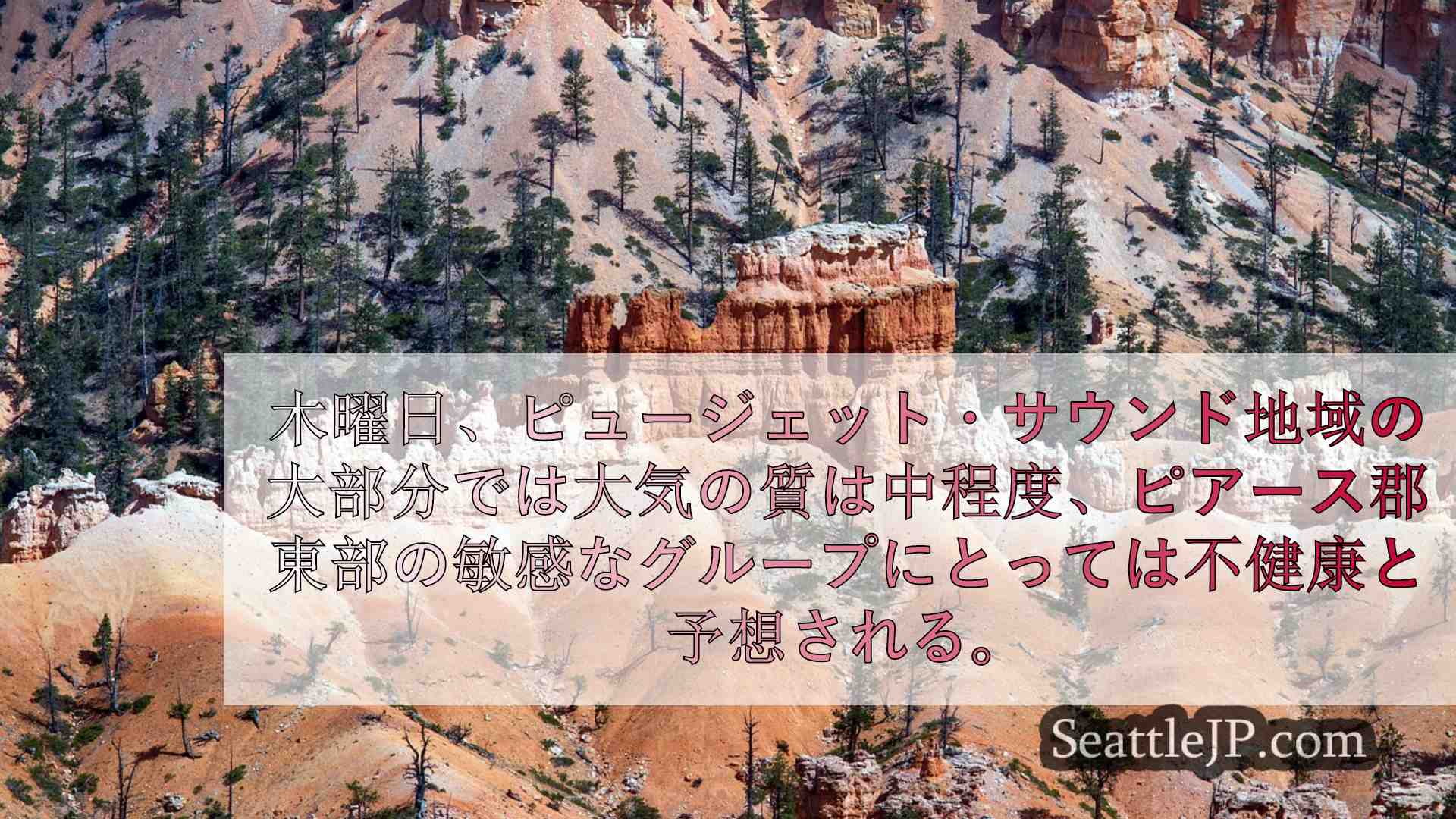 シアトルニュース SeattleJP