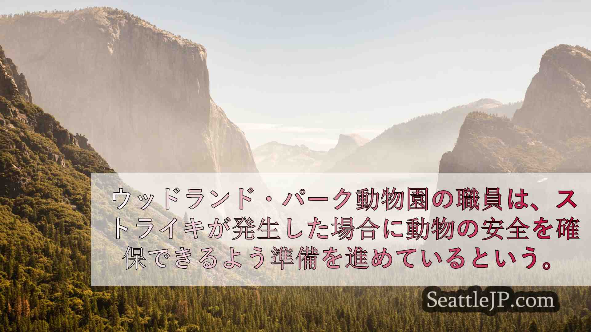 シアトルニュース SeattleJP