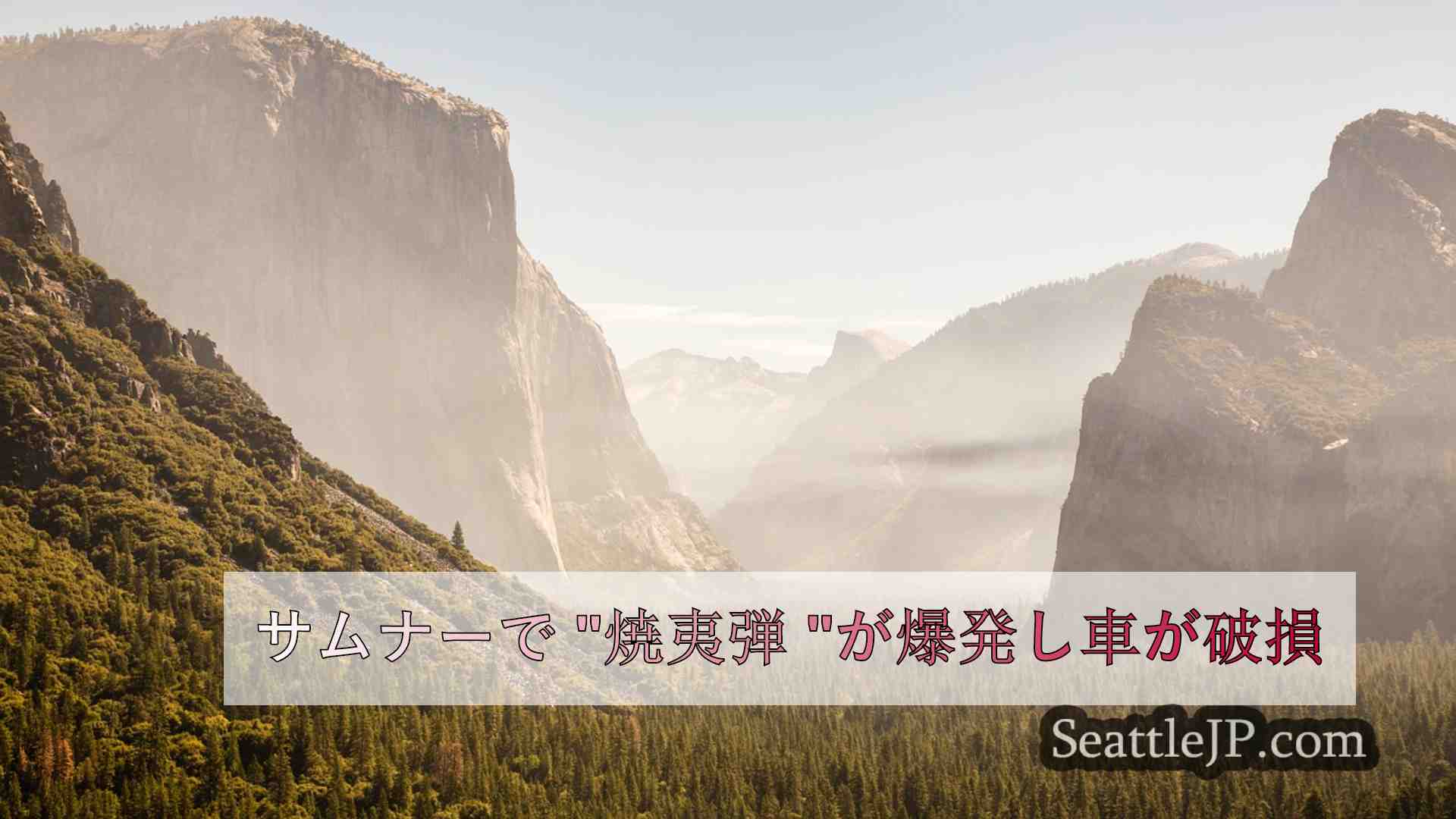 シアトルニュース SeattleJP