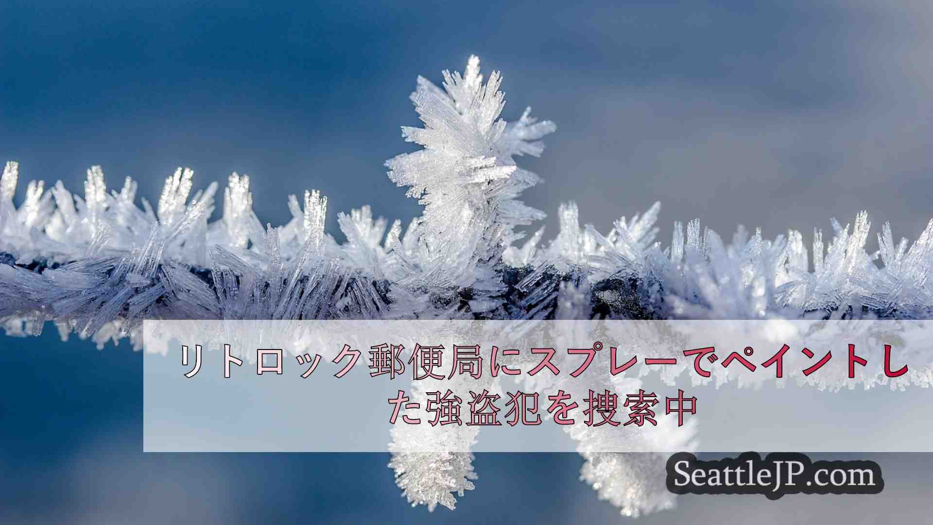 シアトルニュース SeattleJP