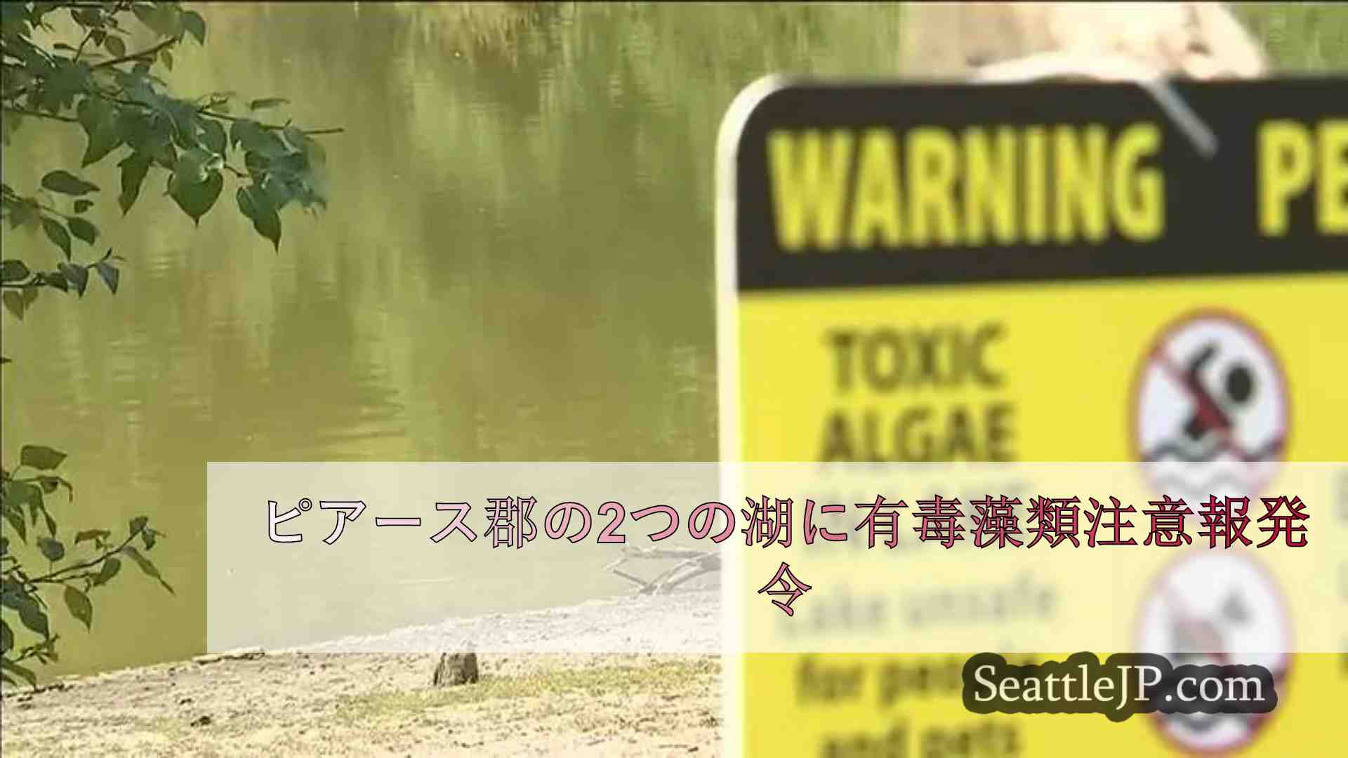 ピアース郡の2つの湖に有毒藻類注意報発令