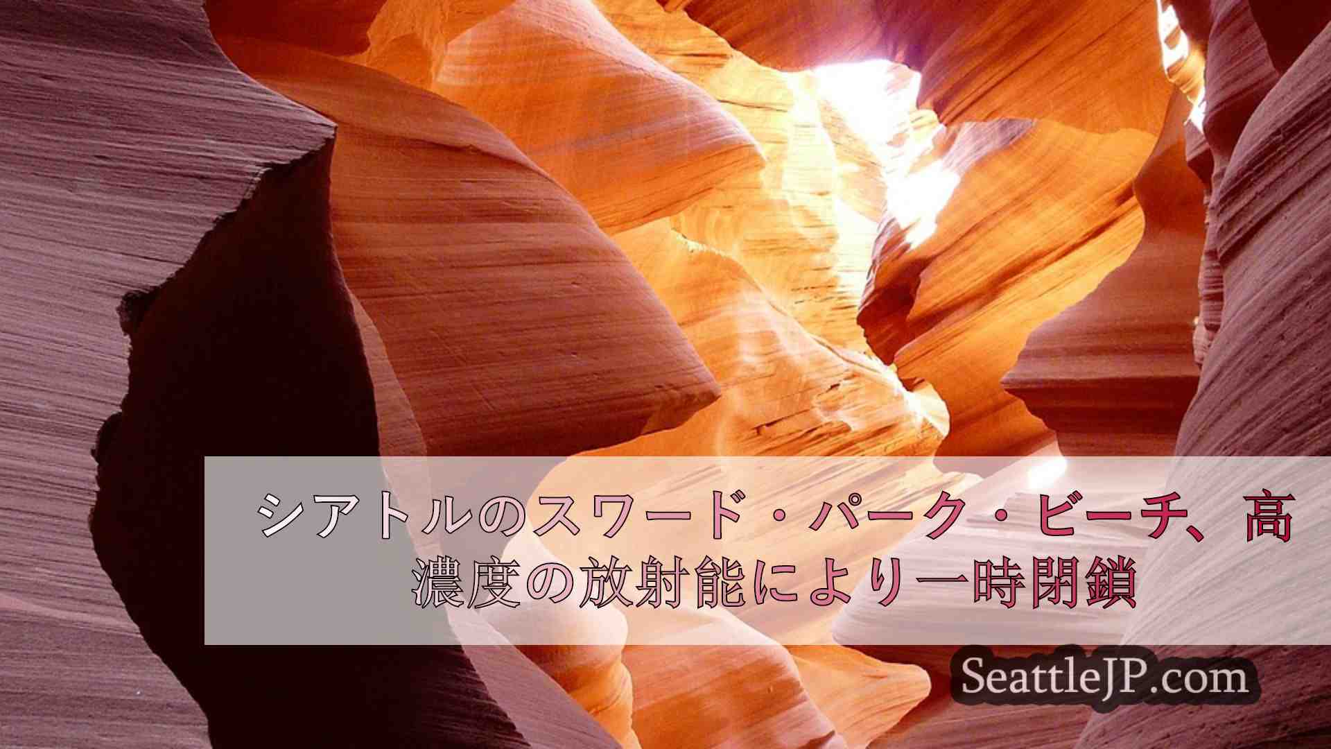 シアトルニュース SeattleJP