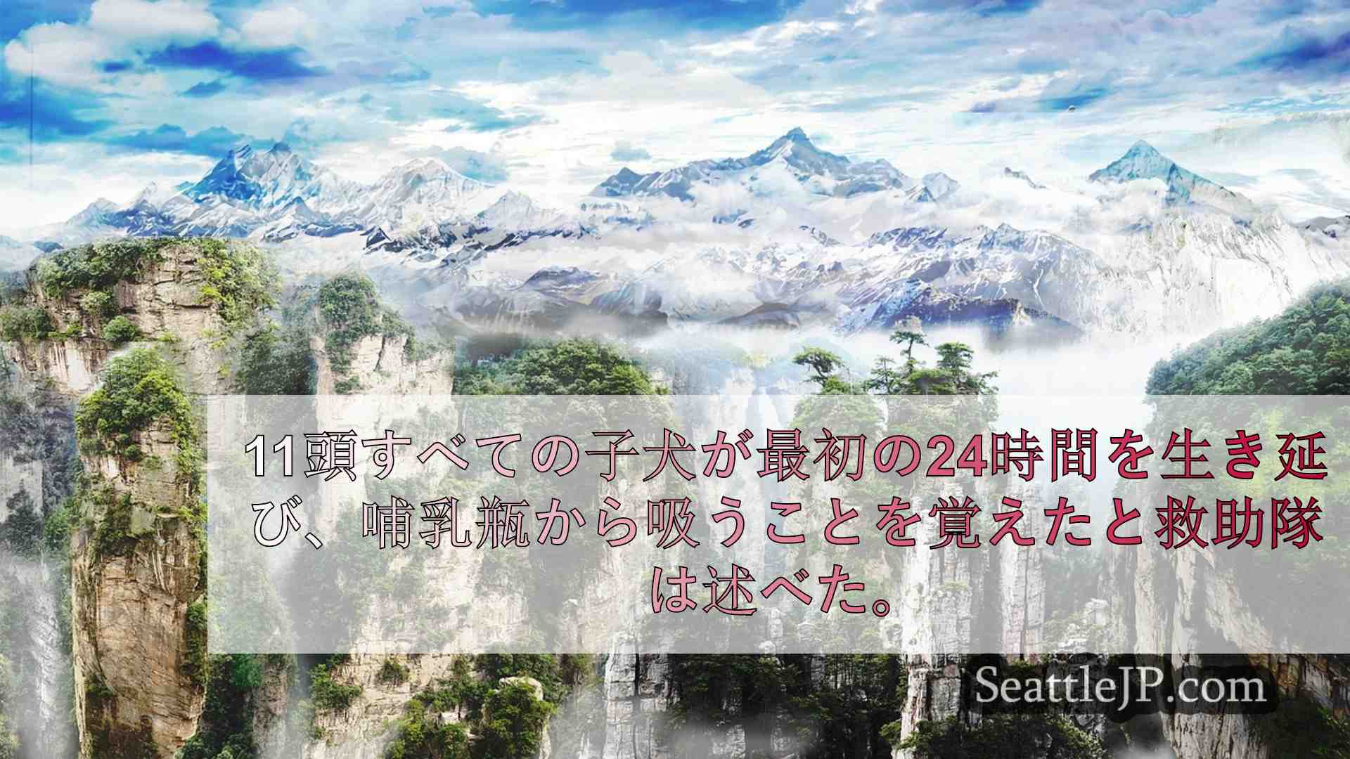 シアトルニュース SeattleJP