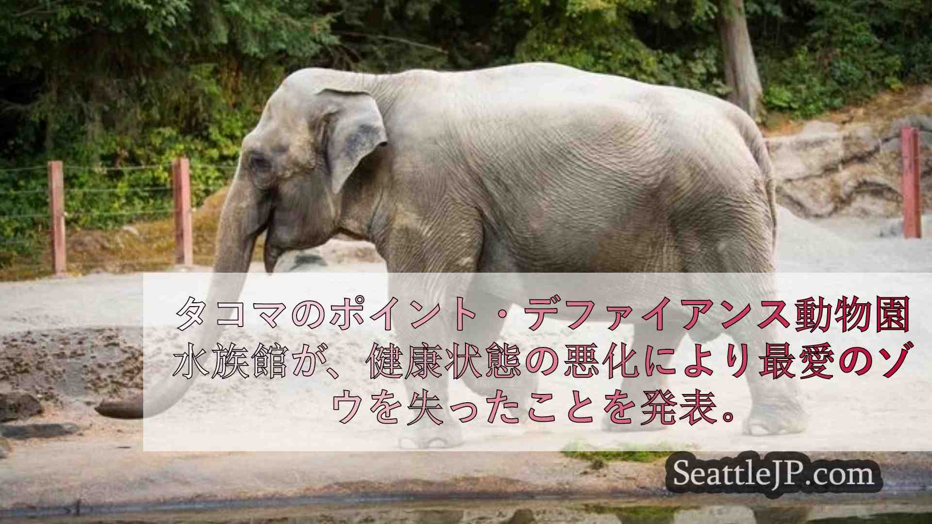 シアトルニュース SeattleJP