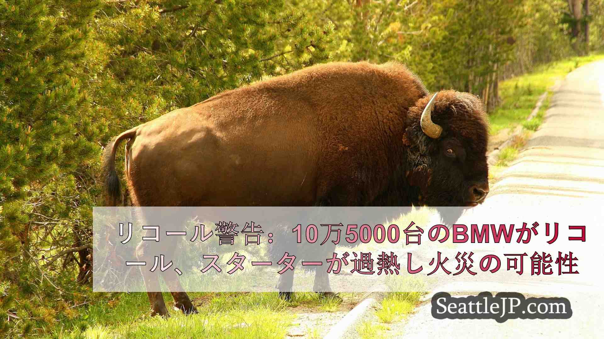 シアトルニュース SeattleJP