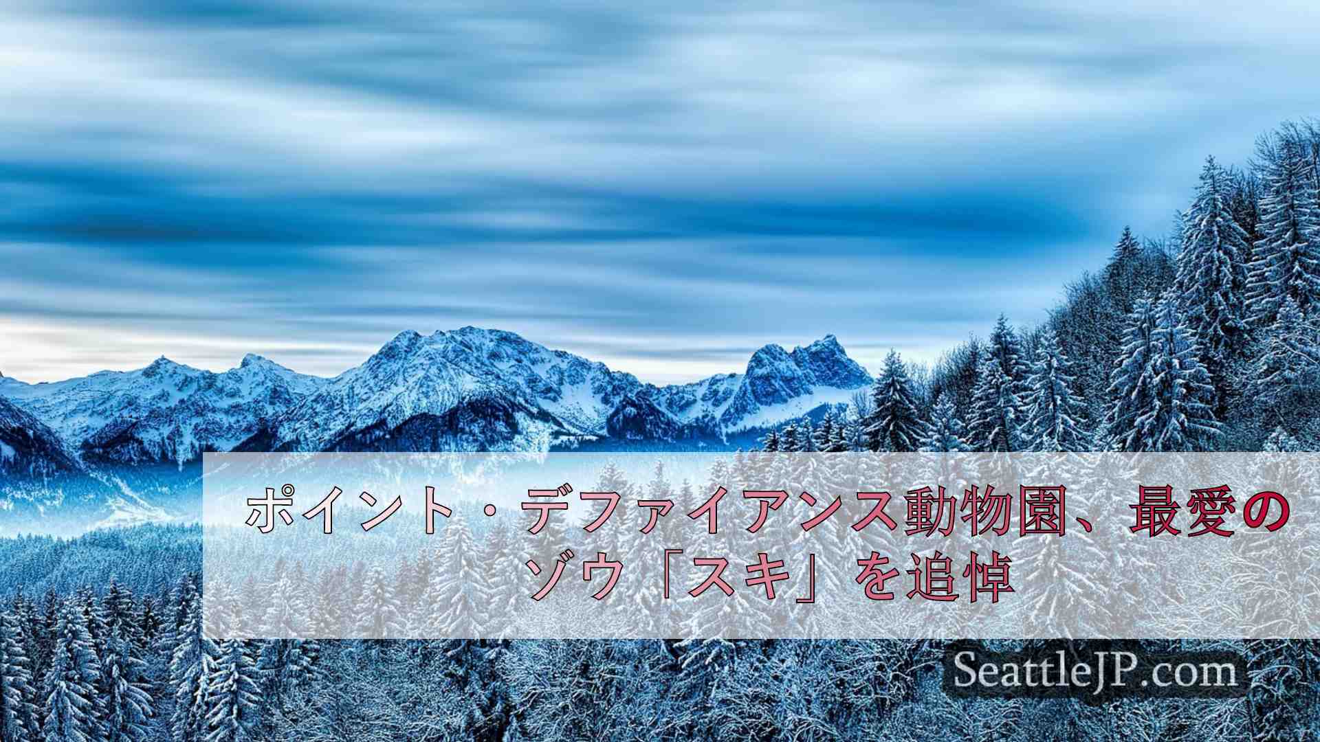 シアトルニュース SeattleJP
