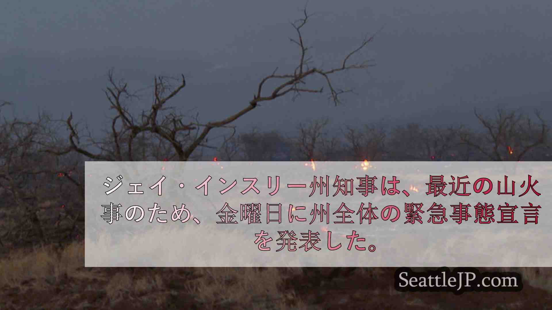 シアトルニュース SeattleJP