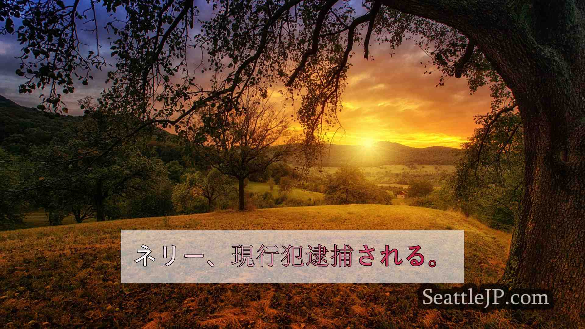 シアトルニュース SeattleJP