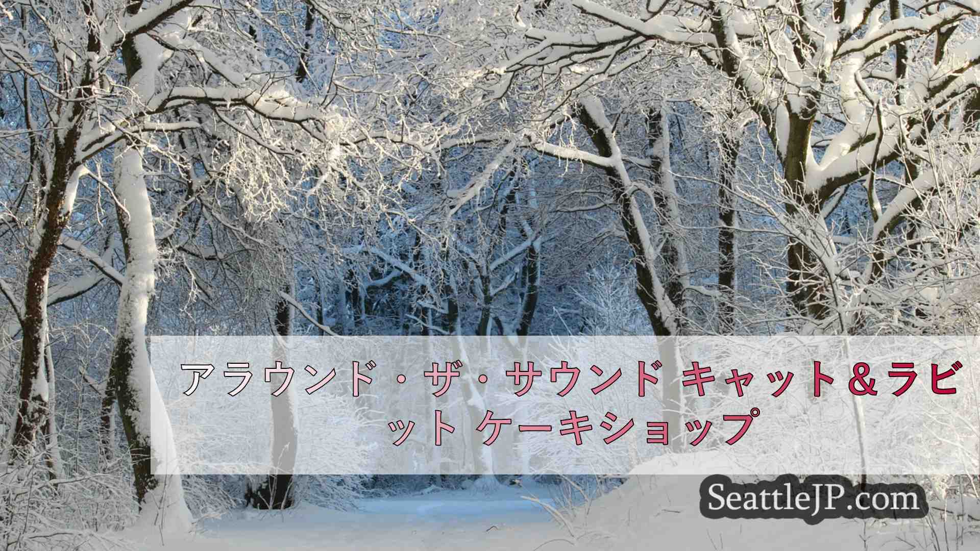 シアトルニュース SeattleJP