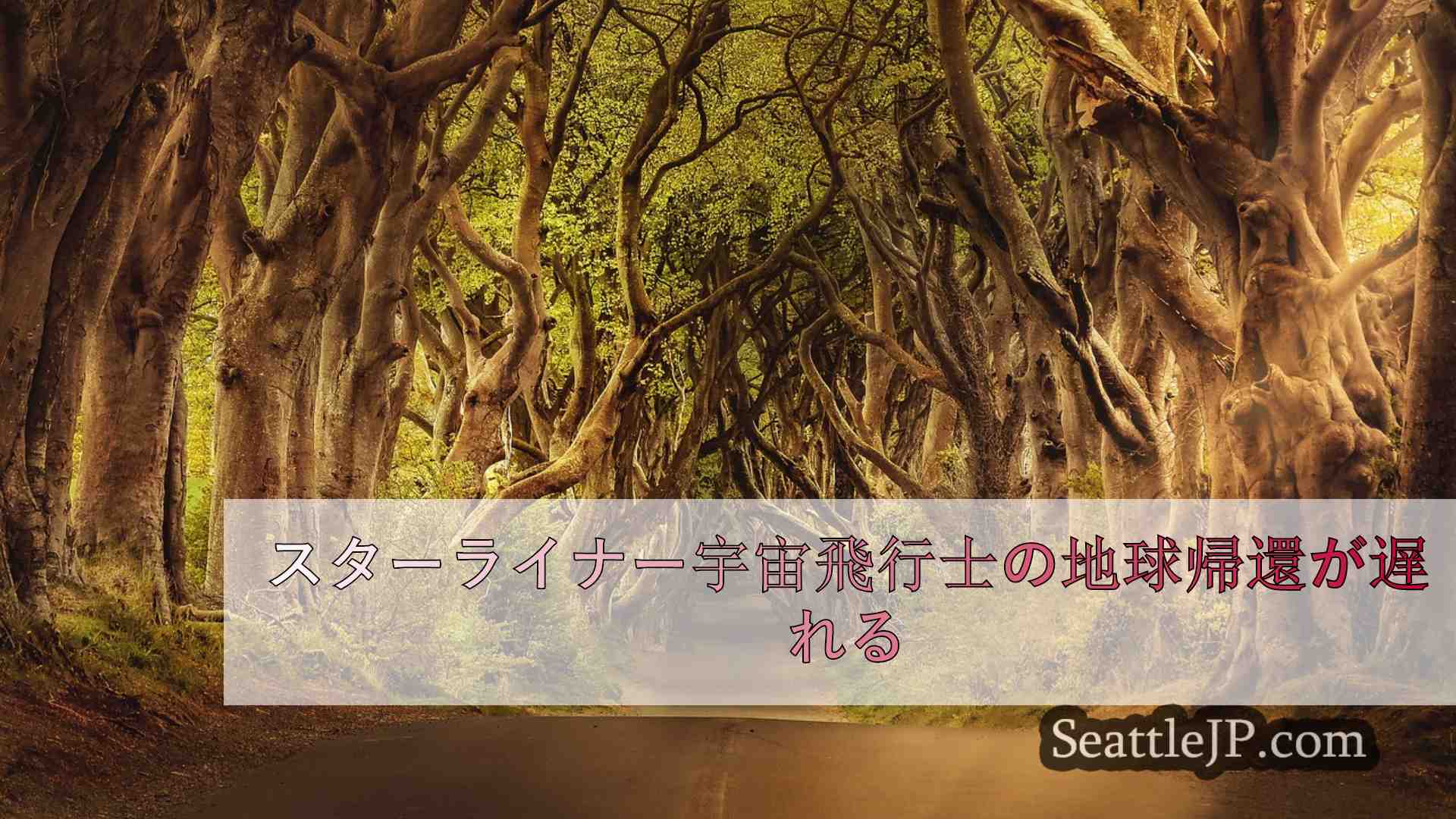 シアトルニュース SeattleJP