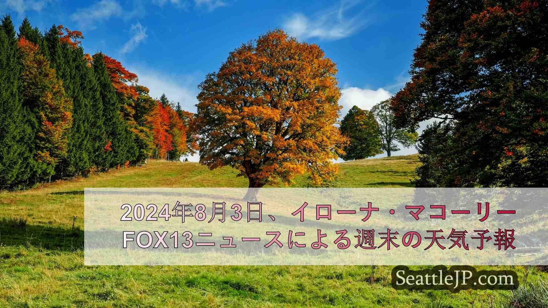 シアトルニュース SeattleJP