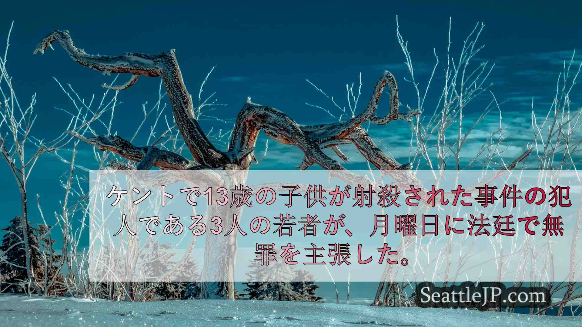 シアトルニュース SeattleJP