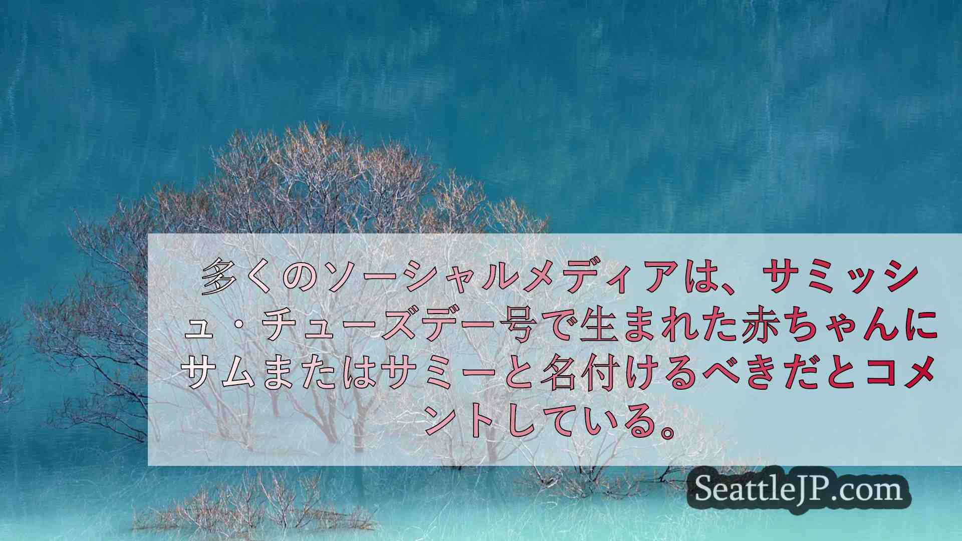シアトルニュース SeattleJP