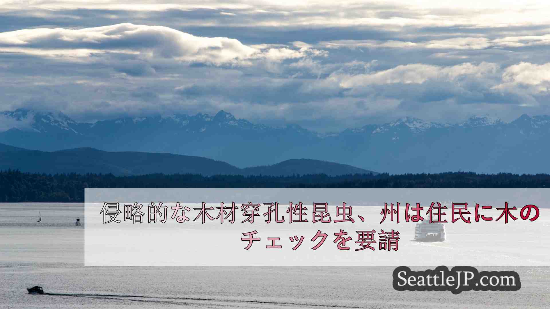 シアトルニュース SeattleJP