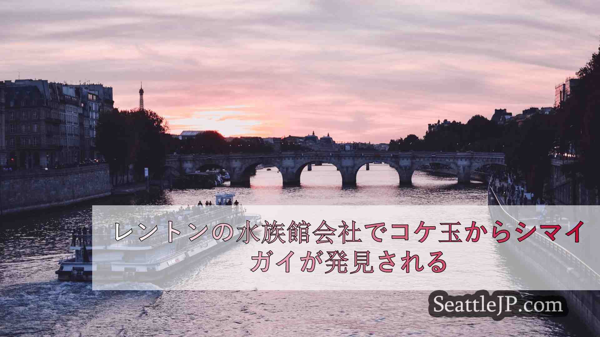 シアトルニュース SeattleJP