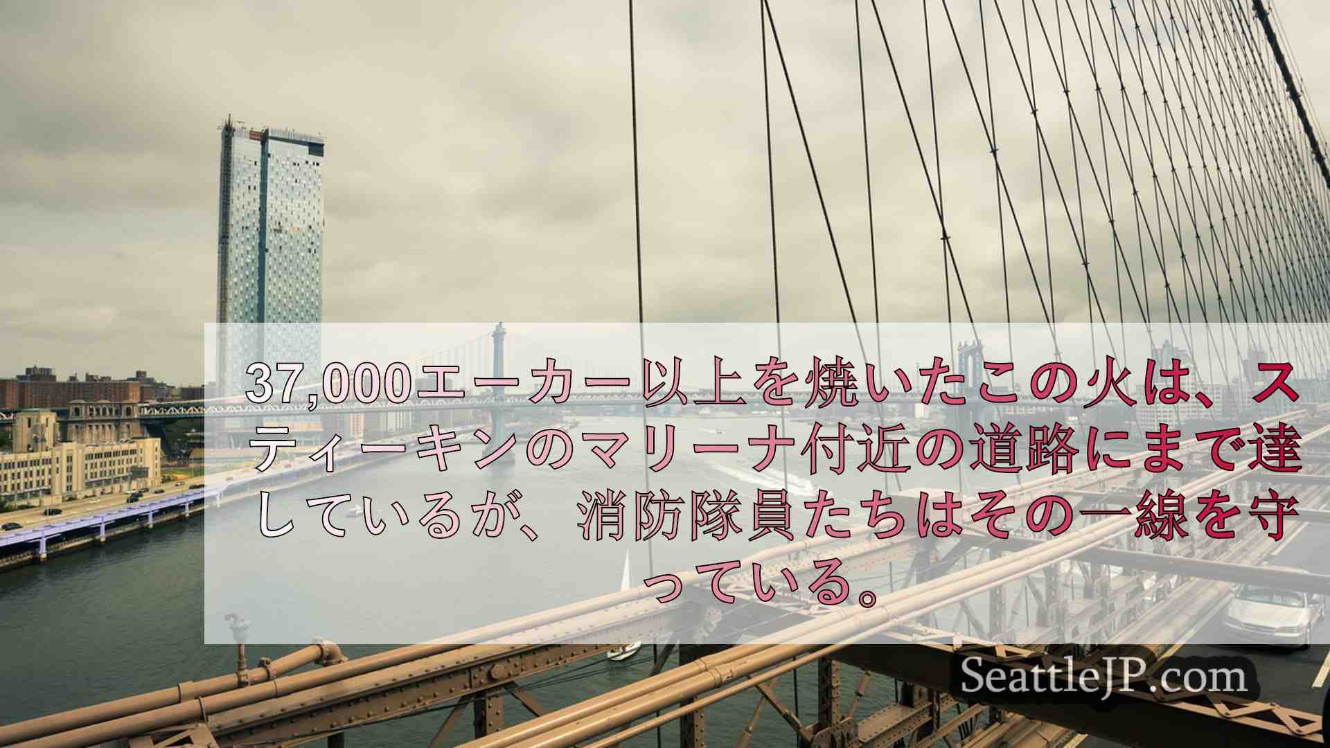 シアトルニュース SeattleJP