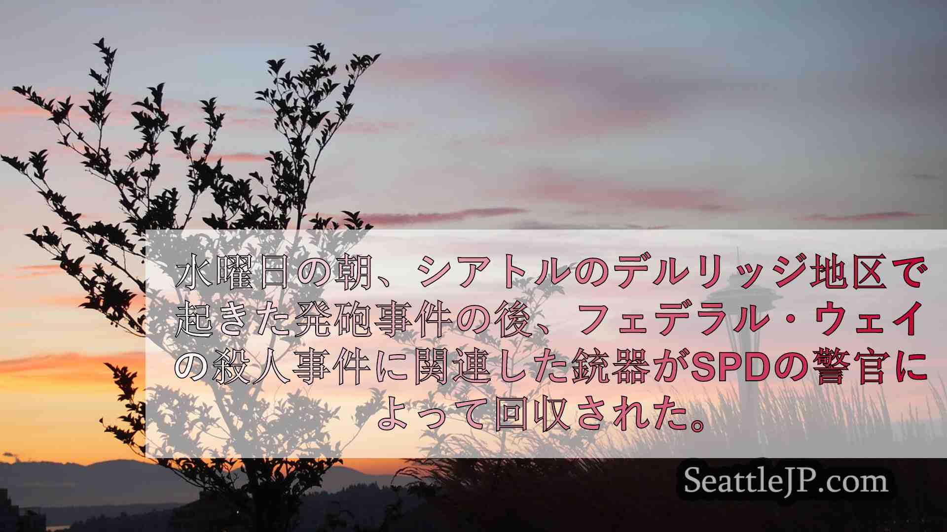 シアトルニュース SeattleJP