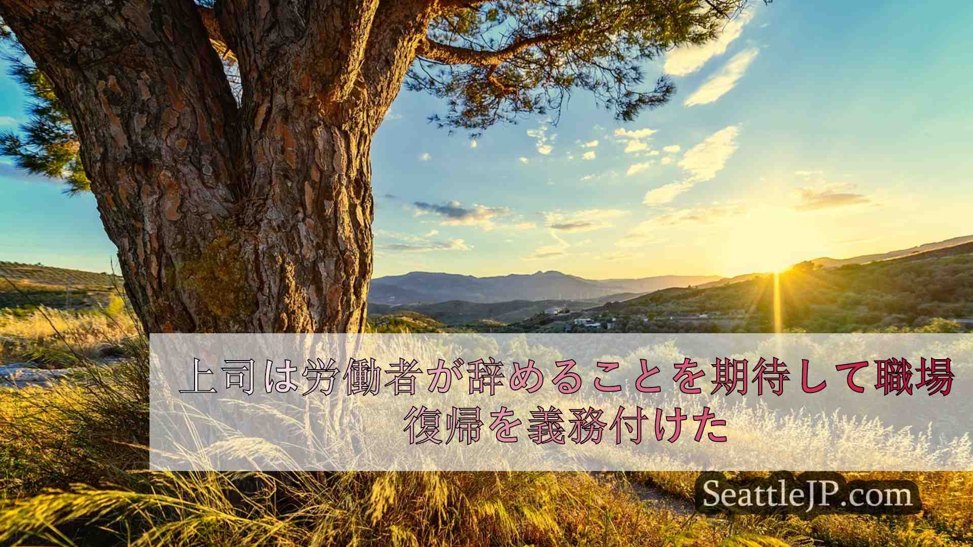 シアトルニュース SeattleJP