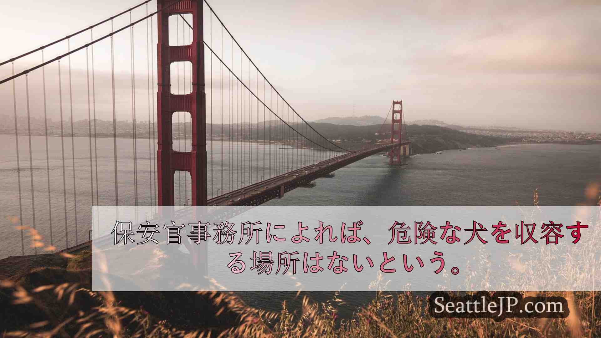 シアトルニュース SeattleJP