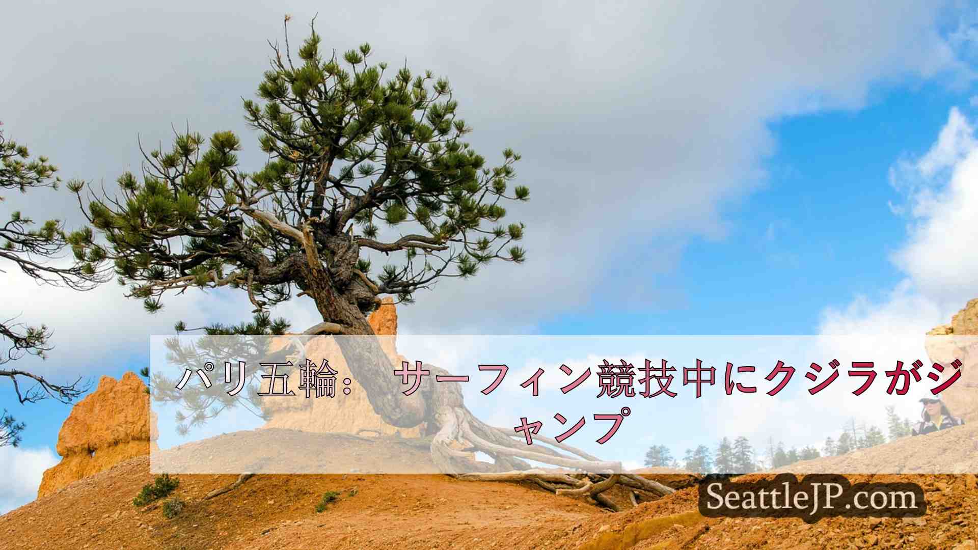 シアトルニュース SeattleJP