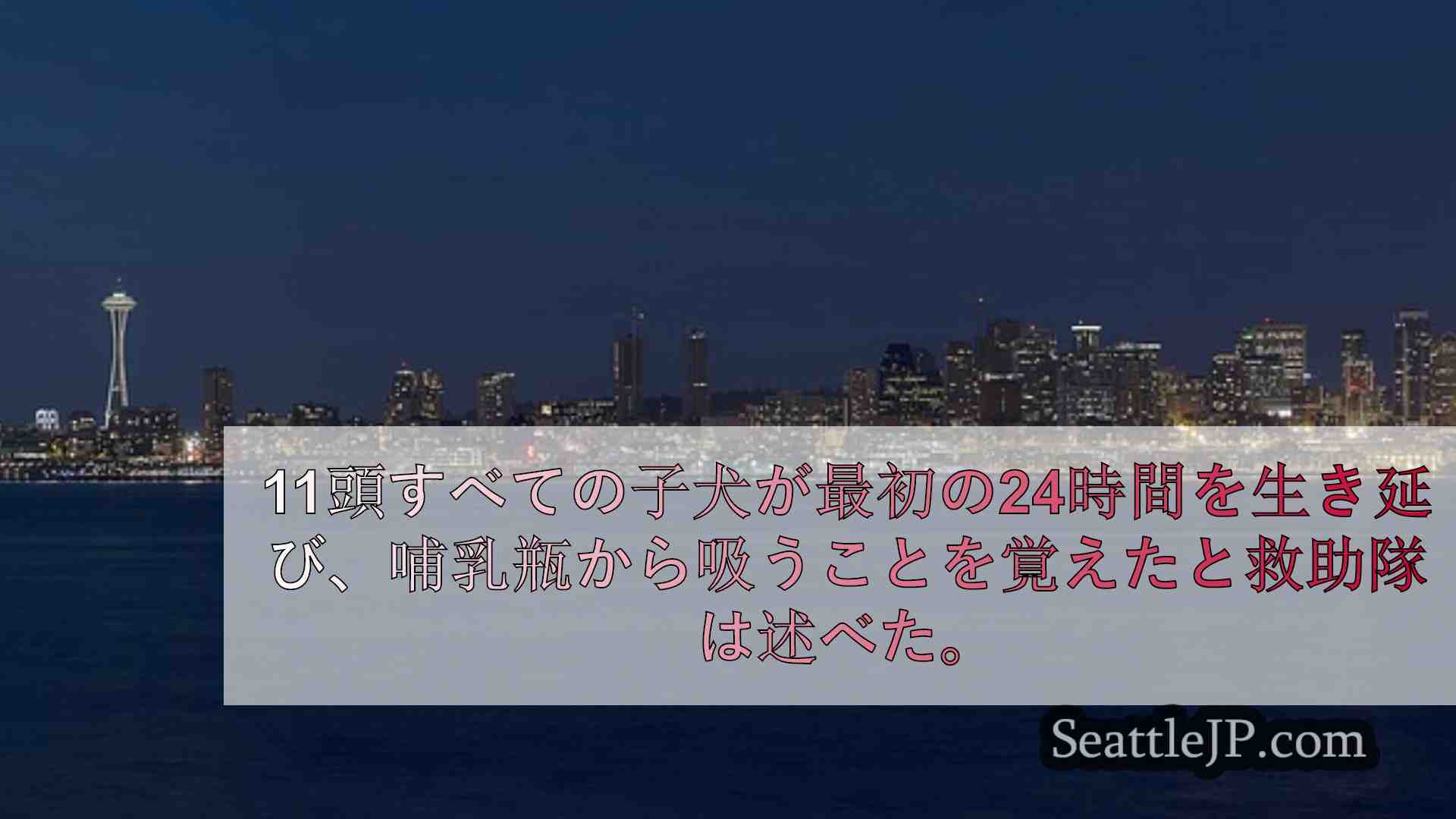 シアトルニュース SeattleJP