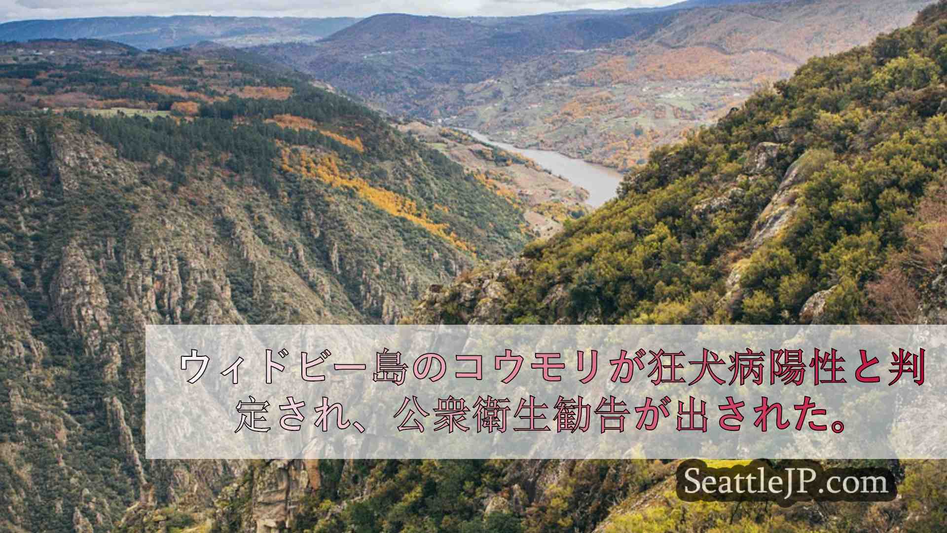 シアトルニュース SeattleJP