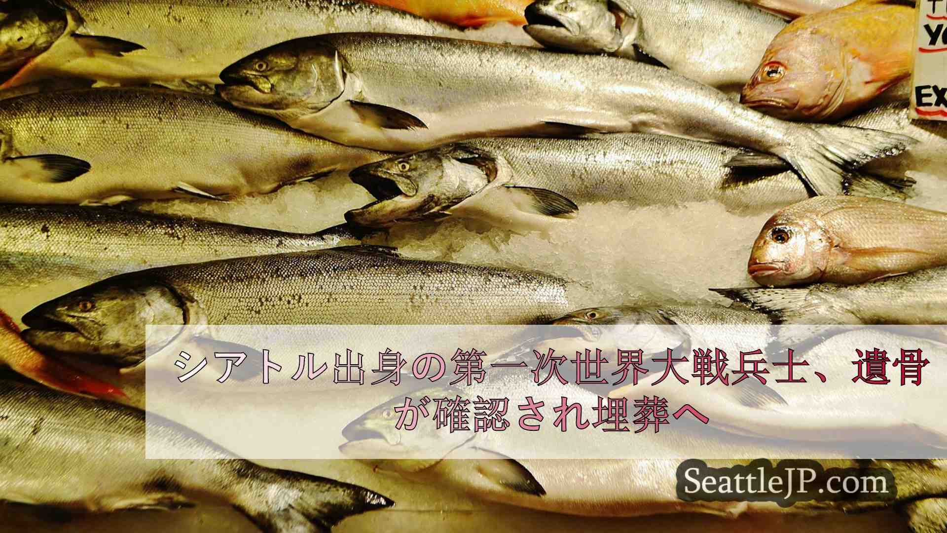 シアトルニュース SeattleJP