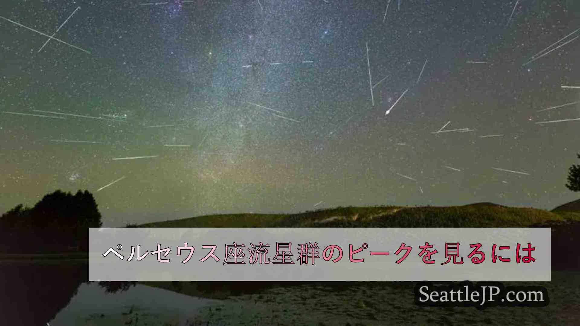 ペルセウス座流星群のピークを見るには