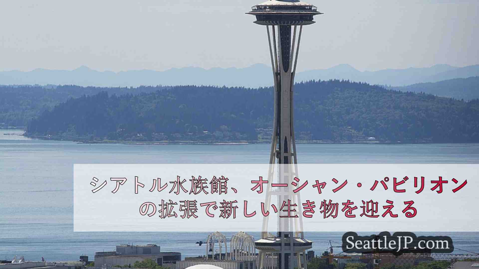 シアトルニュース SeattleJP